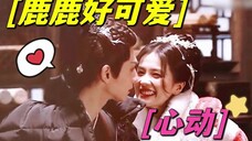 「罗云熙x白鹿」试戏也要真亲!罗云熙真的好宠白鹿,太羡慕了吧