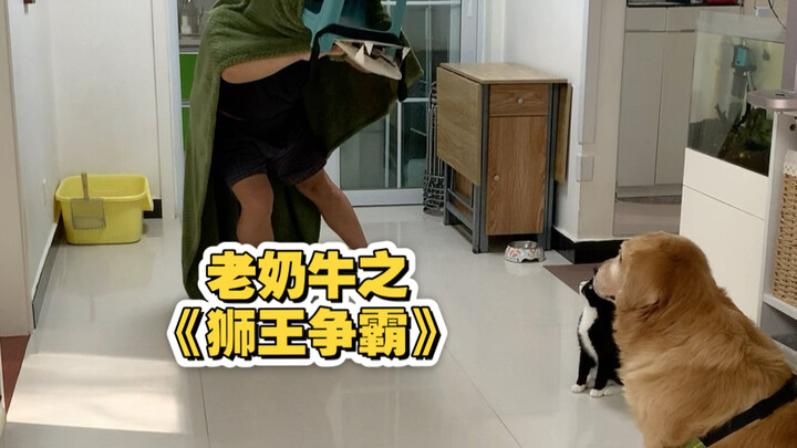 After My Husband Wanted to Enter the New Year Lion King Tournament but I Said No…