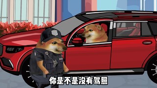 不同国家在美国遇到警察