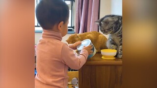 Lợi ích của việc nuôi quàng thượng | MYPET