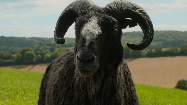 THE SHEEP DETECTIVES FULL MOVIE