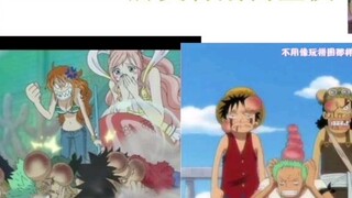 Luffy phàn nàn Nami là con hoang? ! Khi bạn gặp kẻ thù, hãy bỏ chạy! !