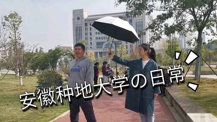 【安徽农业大学抖肩舞】每天一遍 消除抑郁  一起coincidance吧