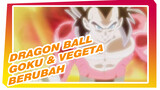 Dragon Ball
Goku & Vegeta Berubah