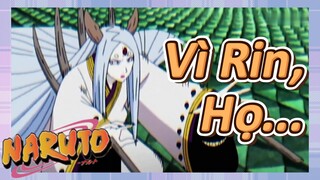 Vì Rin, Họ...