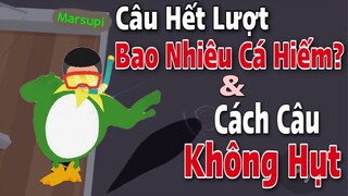 PLAY TOGETHER | CÁCH CÂU KHÔNG HỤT VÀ THỬ THÁCH CÂU HẾT LƯỢT XEM ĐƯỢC BAO NHIÊU CÁ HIẾM | QUÍ KA