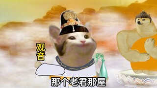 悟空：你们聊，我什么都没听见