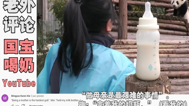 Bảo vật quốc gia Trung Quốc “tụ tập nhậu sữa”, khách nước ngoài bình luận: còn tự cầm bình sữa nữa, 