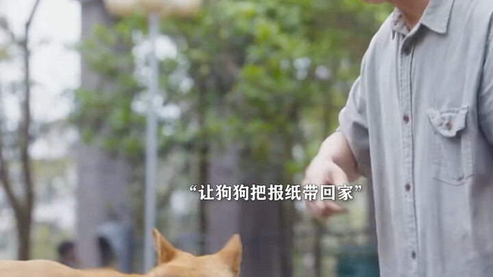 求关注#忠犬八公 正是小伙和小卖铺老板，支撑了狗狗十年！#大黄 #冯小刚 #狗狗 #治愈 家人们一定要看完哦！