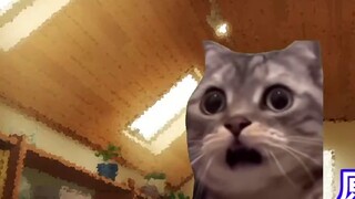 [Meme kucing] Mengiris manusia setelah Neuro mengudara