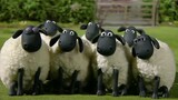 Shaun The Sheep S01E06 Indo Dub