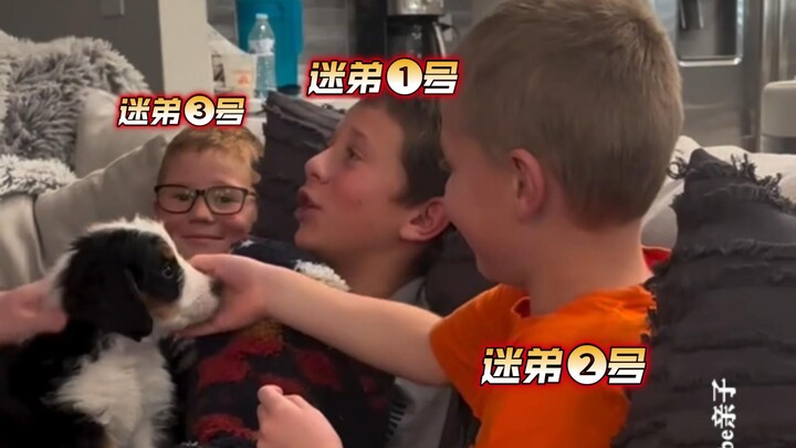 肉眼可见对狗狗的喜爱❤