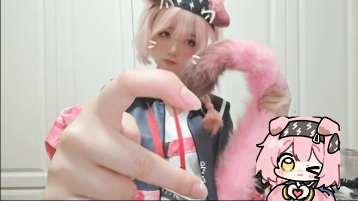 A Chengshan cat trying to make a heart with its tail—can’t wait! (๑>؂<๑)