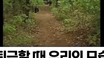 What a Ghostly, Elusive Trick!