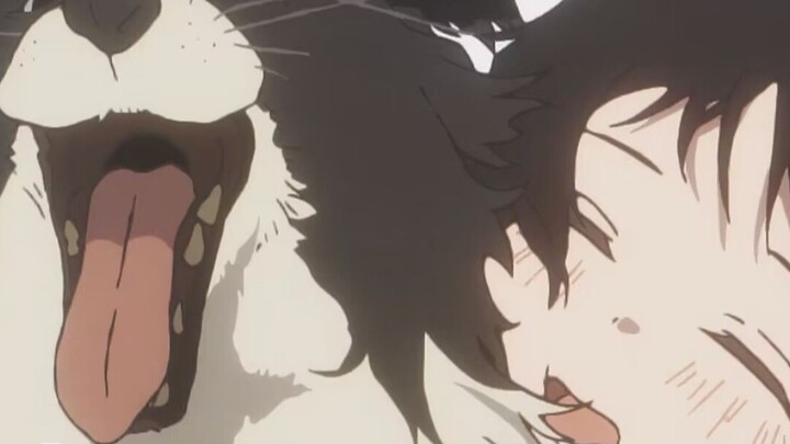 【Anitama】Bộ sưu tập tranh tuyệt đẹp tháng 6 năm 2025