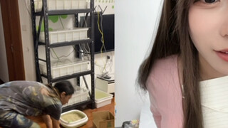 The Chinese server's Han Xin actually made the female streamer do something like this