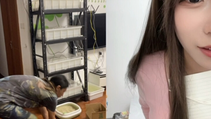 国服韩信居然让女主播做出这种事情