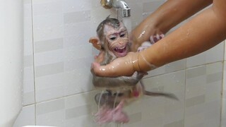 Baby Monkey Bathing | Cute Baby Maku Crying Loudly Scare Cool Water
