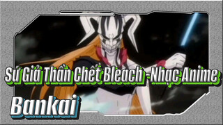 Sứ Giả Thần Chết Bleach / "Cứu tôi với!Kurosaki!Bankai!"_2