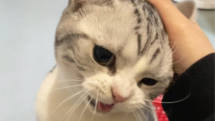 每次回到家都骂骂咧咧的，跟个防空警报一样