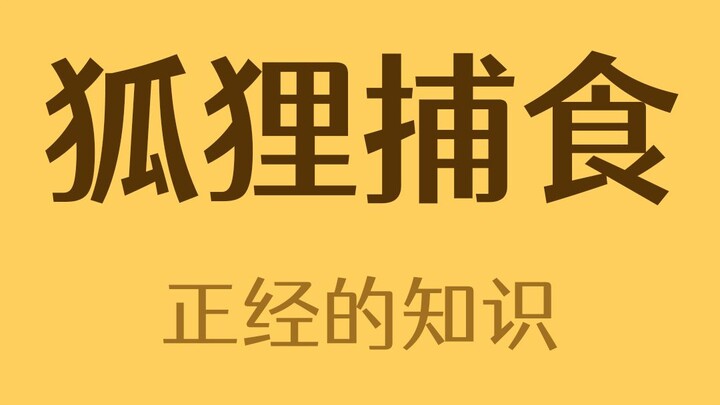 How Do Foxes Hunt in the Snow?