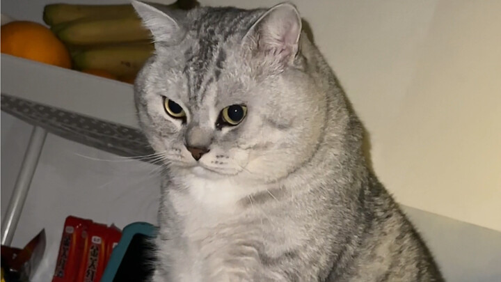 ต้าจวงจะกอดฉันนอน