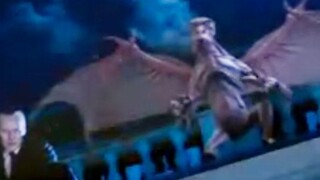 【抓马】ข่าวดีสำหรับผู้สมัคร! ฉันได้ยินมาว่าการกินเฟรนช์ฟรายส์ทุกวันอาจทำให้คุณฉลาดขึ้นได้ "Doctor Who D