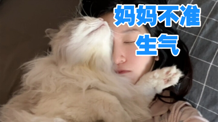 Pretending to be mad, the cat coaxed me all night with moves worthy of a domineering CEO.