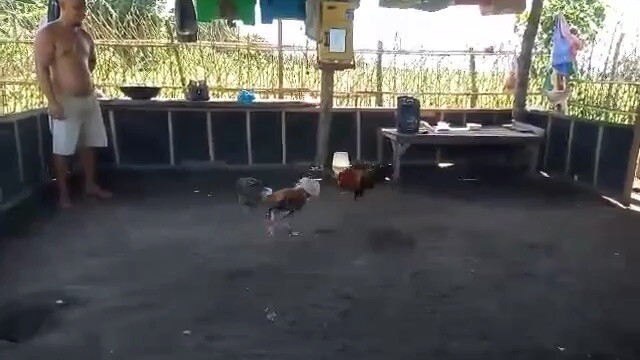 Sunday Spar 👌🏻