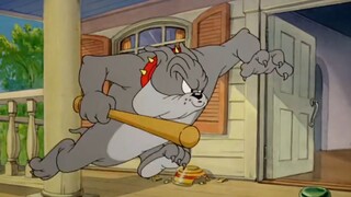 Tom and Jerry | Buddies and Lifes Compilation