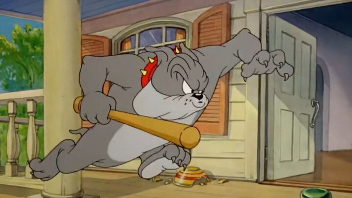 Tom and Jerry | Buddies and Lifes Compilation