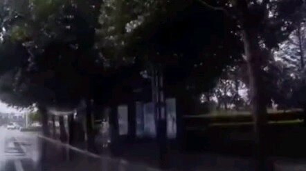 Seorang wanita yang sedang mengemudi tanpa sengaja menyemprotkan air ke pejalan kaki, lalu langsung 