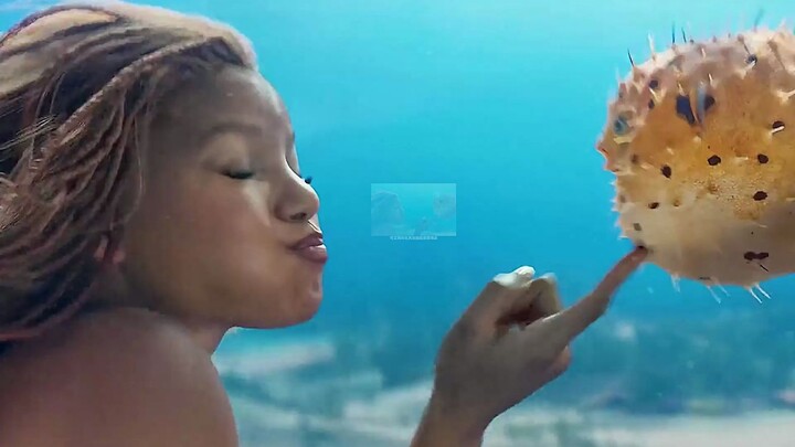 Cô nàng tiên cá thế này bạn có thích không?