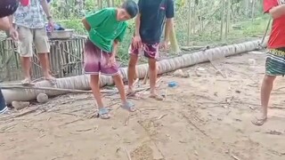 practice mona mag tari unang tari ko panalo kagad mga ka backyard