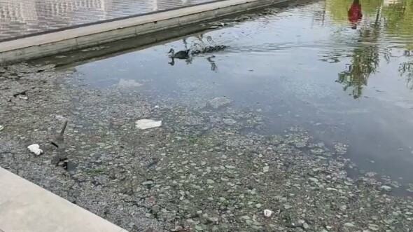 ฮ่าๆๆ พอเขาหันหลังเดินจากไป ก็ดูเหมือนจะตัดสินใจอะไรบางอย่างแล้ว