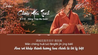 [Vietsub + Pinyin] Chiêu Hoa Tình - Đẳng Thập Ma Quân | 昭华情 - 等什么君