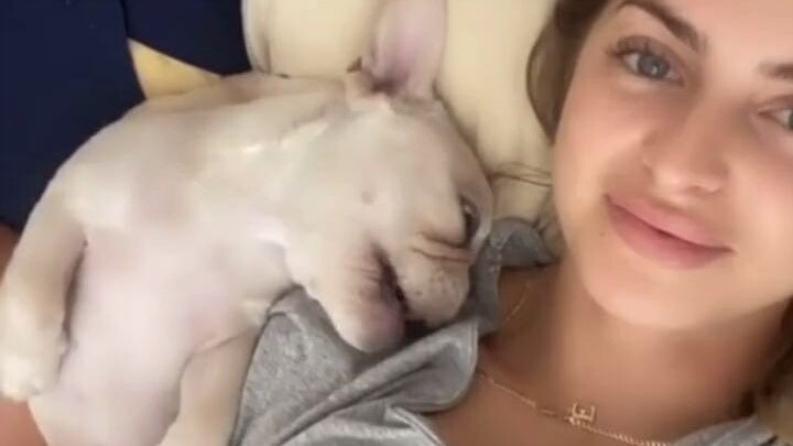 Dogs can't help but tilt their heads after hearing this.