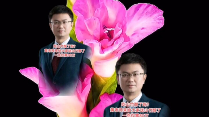 Chỉ thích kiểu “đất vị” thế này, làm sao để giáo sư Hoàng Phi Nhược của chúng ta lại bỏ lỡ video này