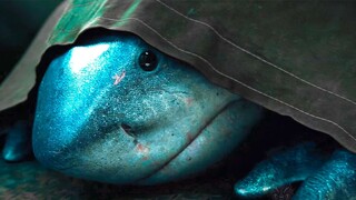 Film editing | The cute shark king has the blood of ancient gods