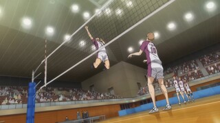 ANIMALS VOLLYBALL