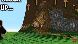 Do Minecraft blocks have properties like other blocks? Interesting.