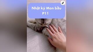 Khổ tâm 😢 nhacona meow cat mèo xuhuong