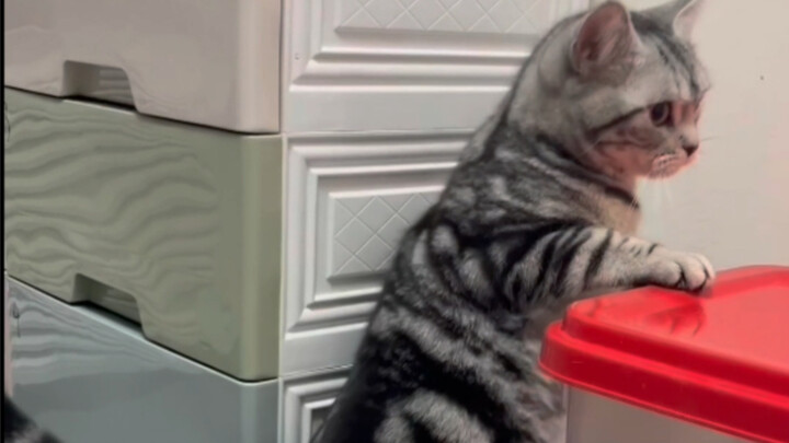 Please don't take the show's effects seriously. I sincerely hope that all the furry kids are healthy