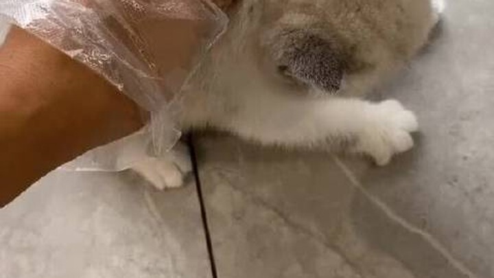 Have you mastered it yet 😃😃?