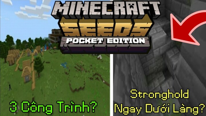 Top Những Seed Hữu Ích Dành Cho Các Bạn Khi Chơi Minecraft PE