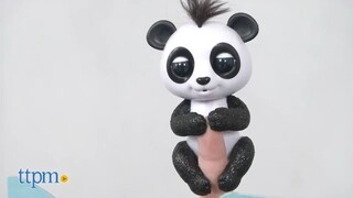 Fingerlings Baby Panda Drew Beanie Archie and Polly Unboxing  Revie