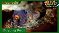 Aku Ingin Jadi Seperti Duyung Kecil - Peet The Forest Detective 3 (Bahasa Indonesia)
