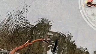 Aku terlalu suka melakukan hal-hal baik