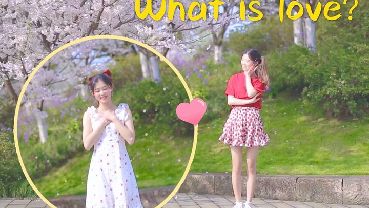 【คุณสิบหยวน】what is love – ทไวซ์เต้นคัฟเวอร์ เด็กสาวกลิ่นซากุระสุดหวาน!