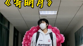 本少爷回归 通通闪开